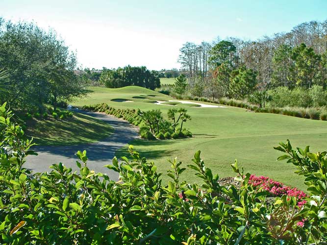 A shot down at fairway at the Brooks golf course - Bonita Springs, Florida