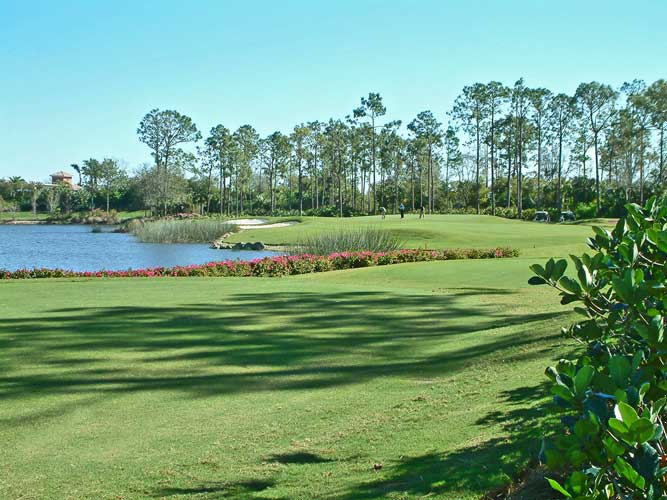 A view to the green at Mediterra golf cousre - Naples, Florida
