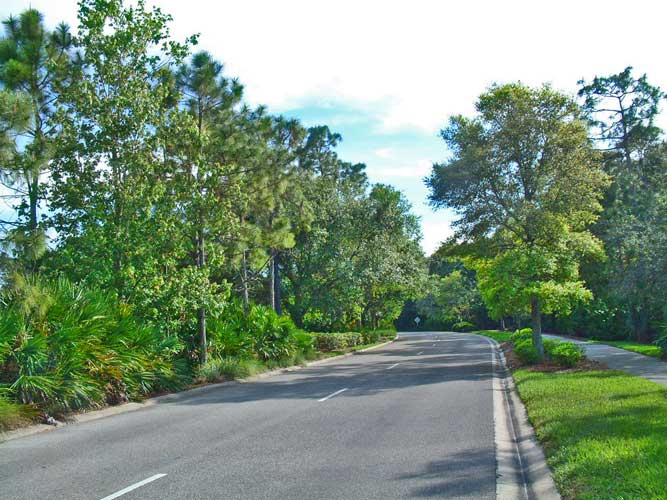 A colorful intersection in Bonita Bay - Bonita Springs, Florida