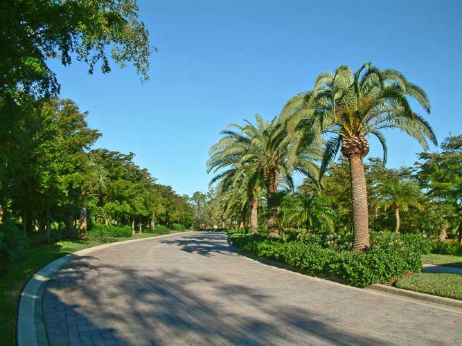 Dates line the roadway median in Mediterra - Naples, Florida