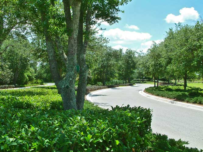 Street view along the main entry drive to the Ritz Carlton Golf Course - Sarasota, Florida