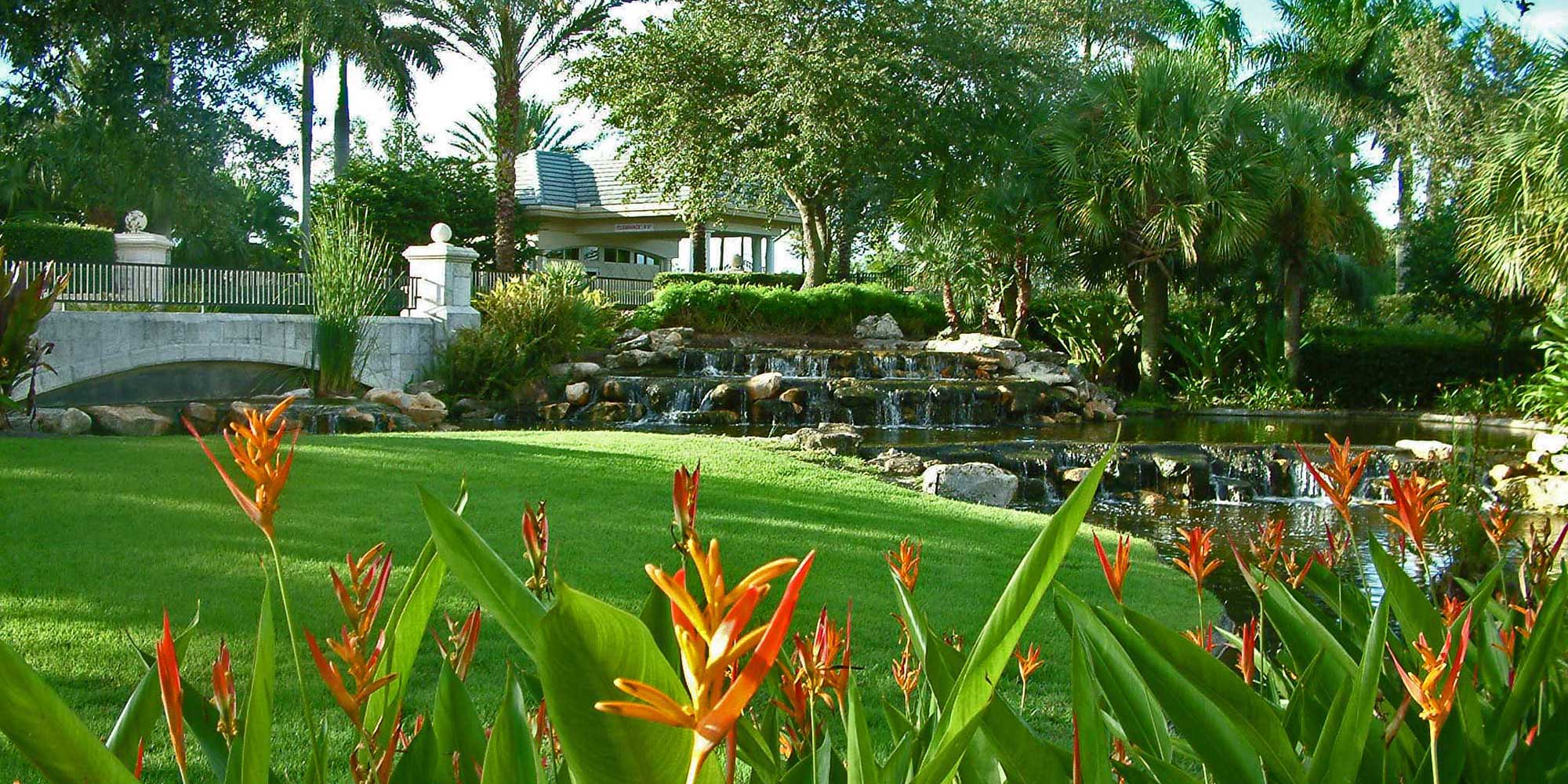 Estuary - Naples, Florida